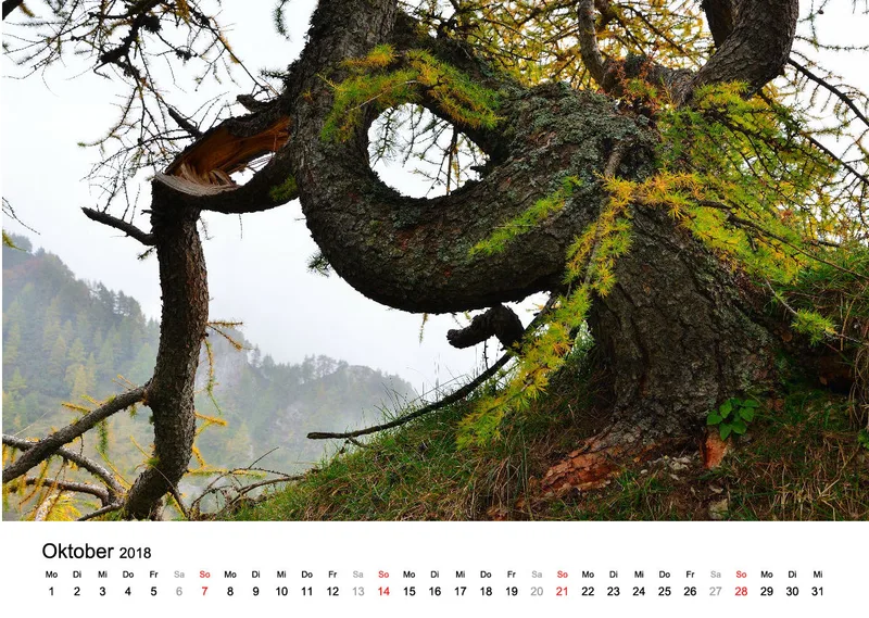Fotokalender / Nr. 8