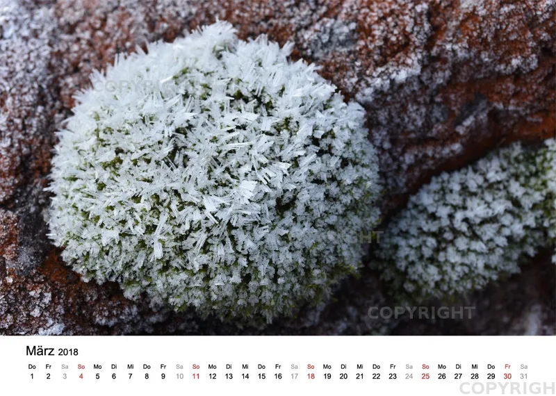 Fotokalender / Nr. 10