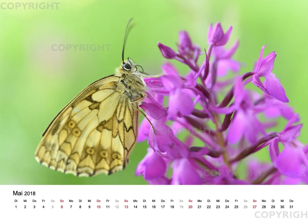 Tischkalender / Nr. 4
