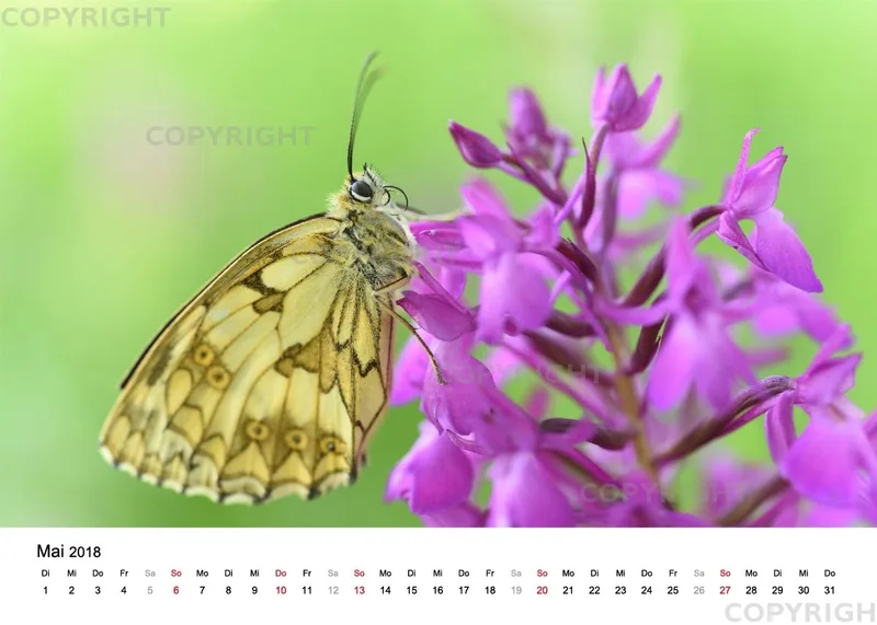 Tischkalender / Nr. 4