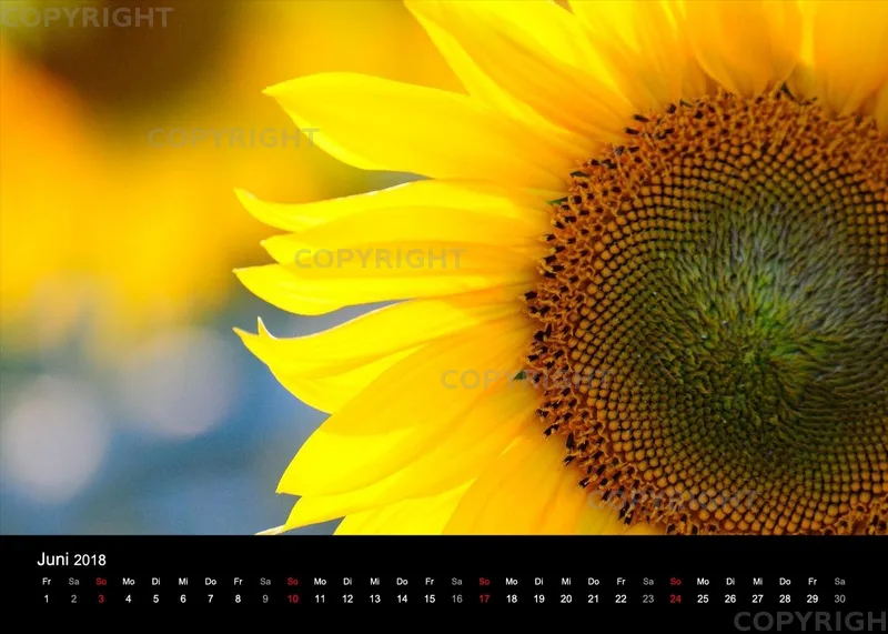 Fotokalender / Nr. 11