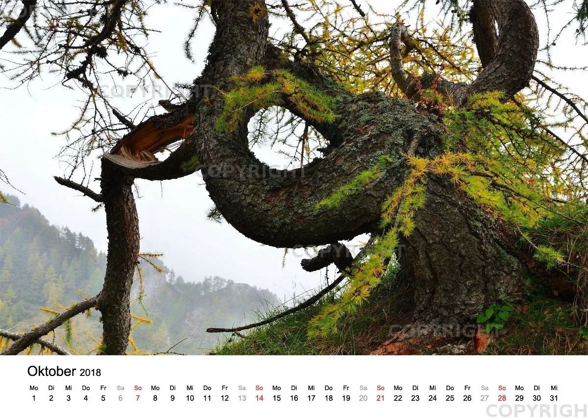 Fotokalender / Nr. 10