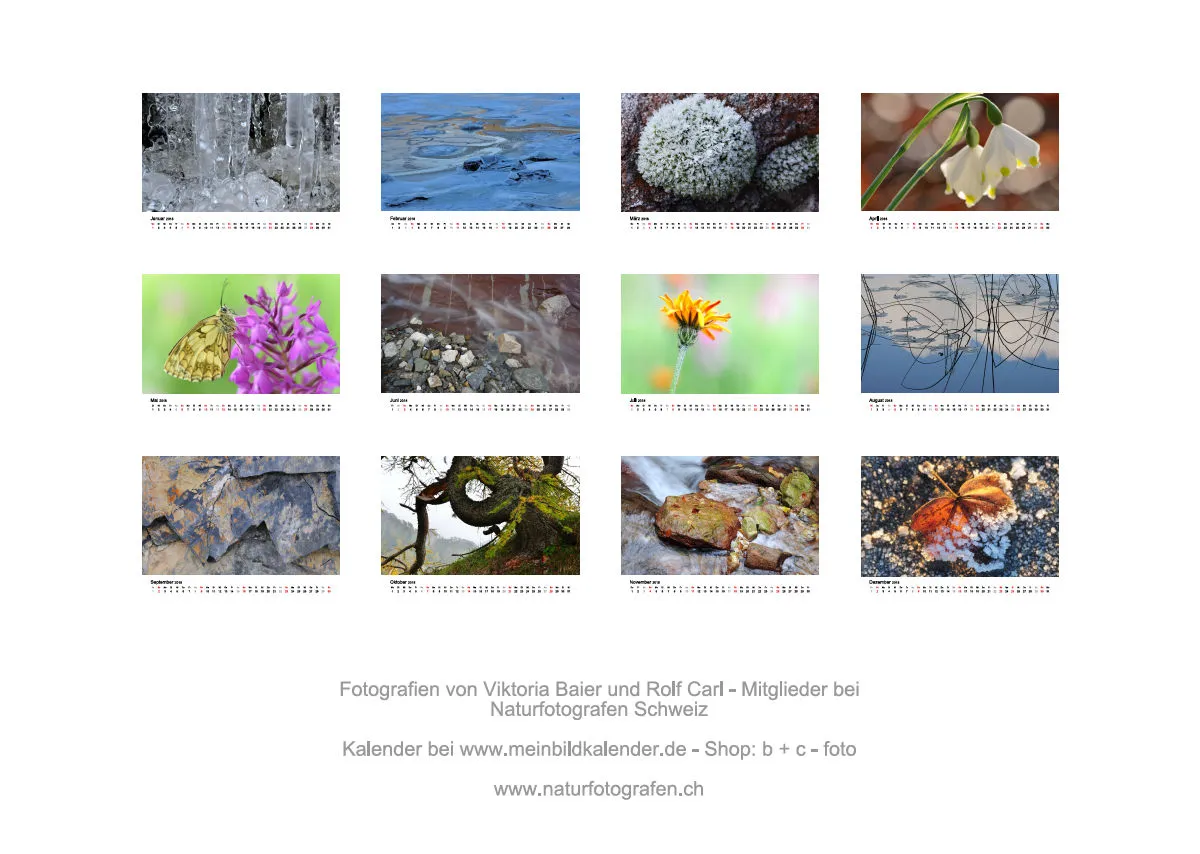 Fotokalender / Nr. 8