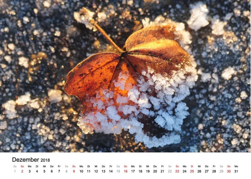 Fotokalender / Nr. 8
