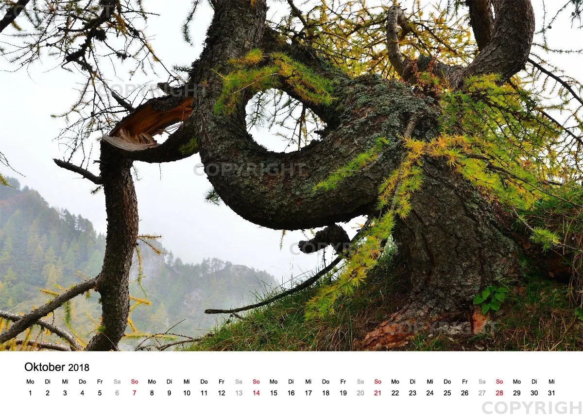 Tischkalender / Nr. 4