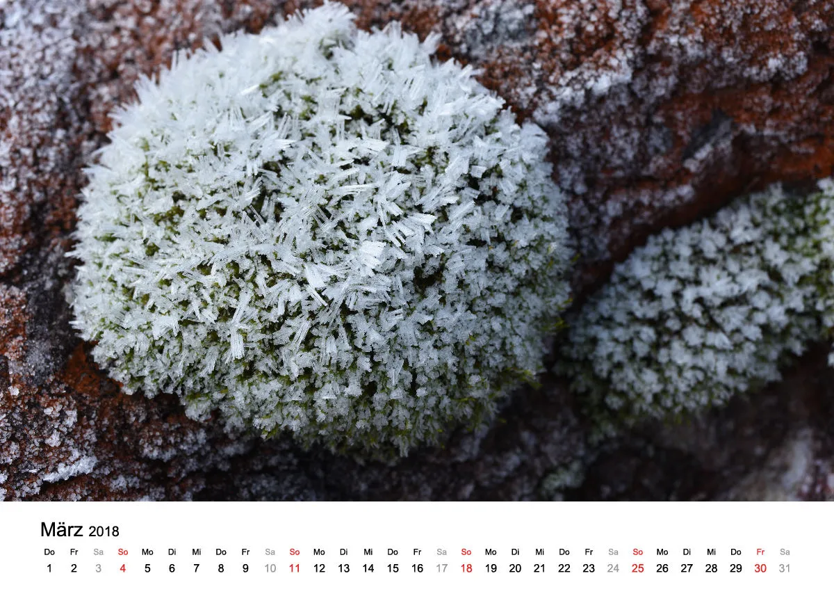 Fotokalender / Nr. 8