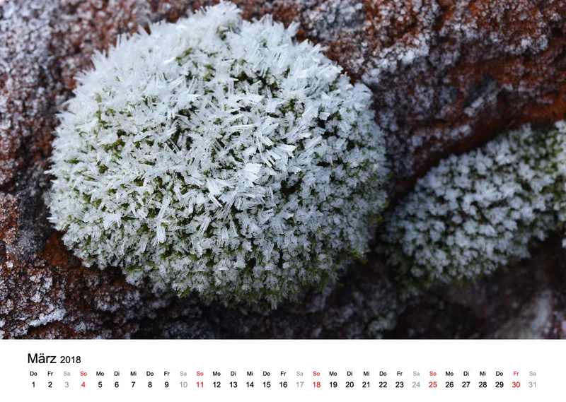 Fotokalender / Nr. 8