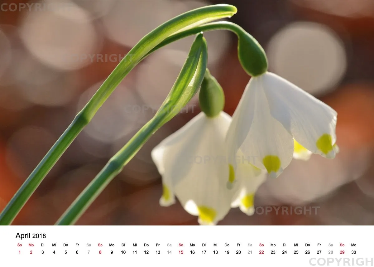 Tischkalender / Nr. 4