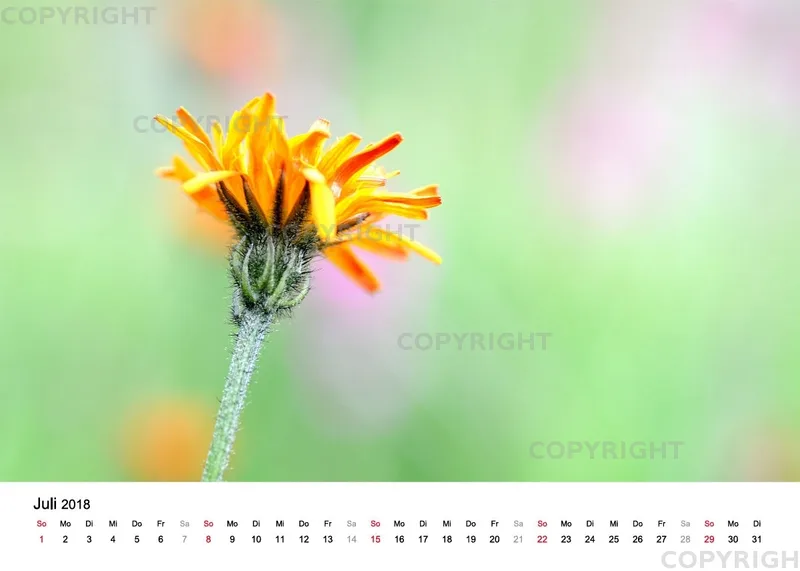 Tischkalender / Nr. 4