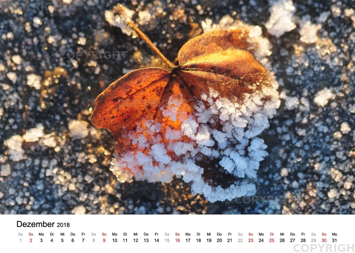 Fotokalender / Nr. 10