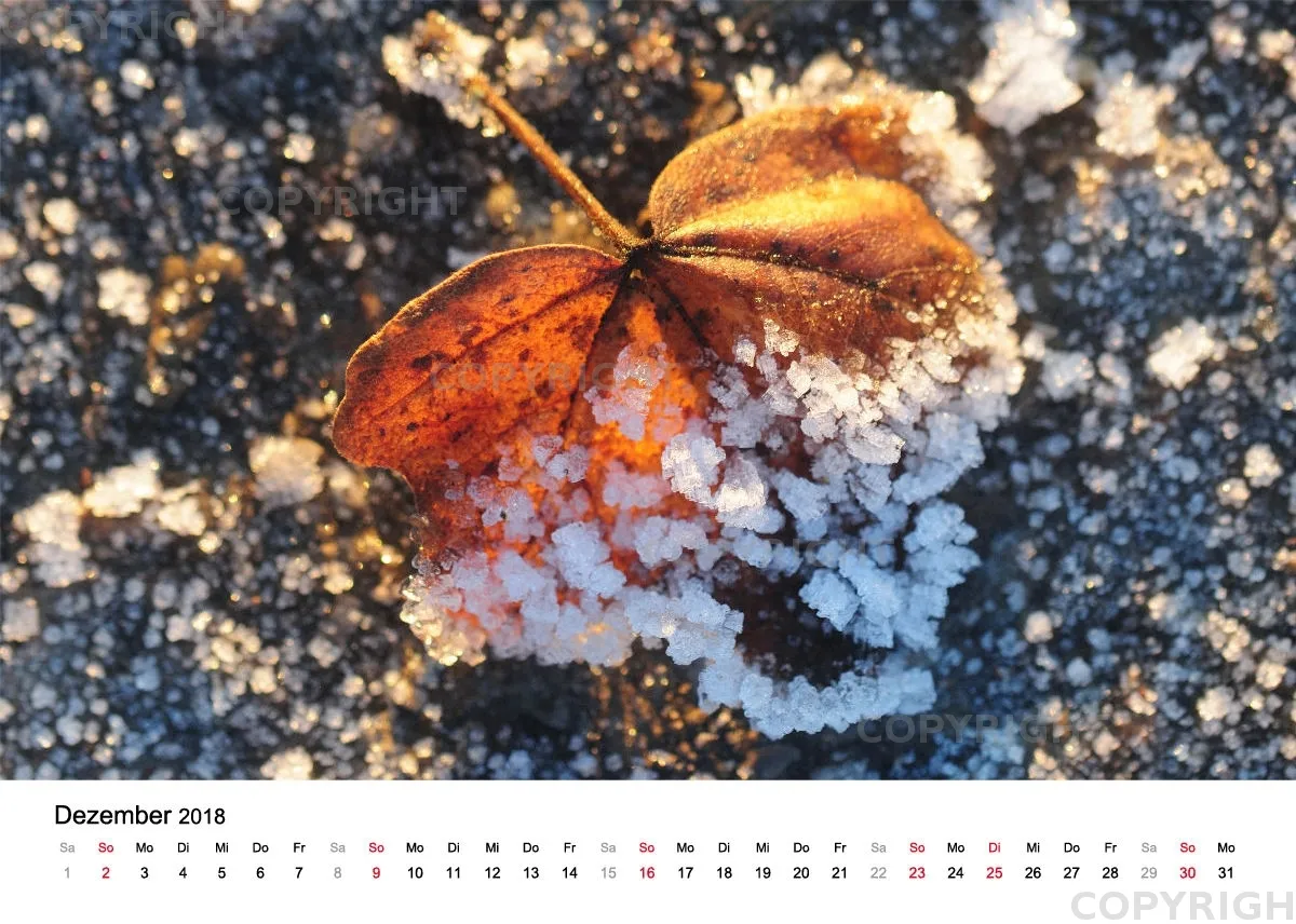 Tischkalender / Nr. 4