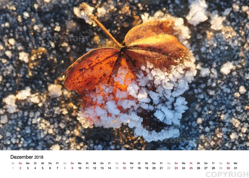 Tischkalender / Nr. 4