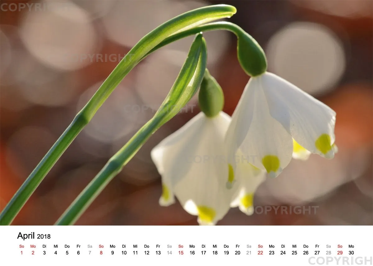 Fotokalender / Nr. 10