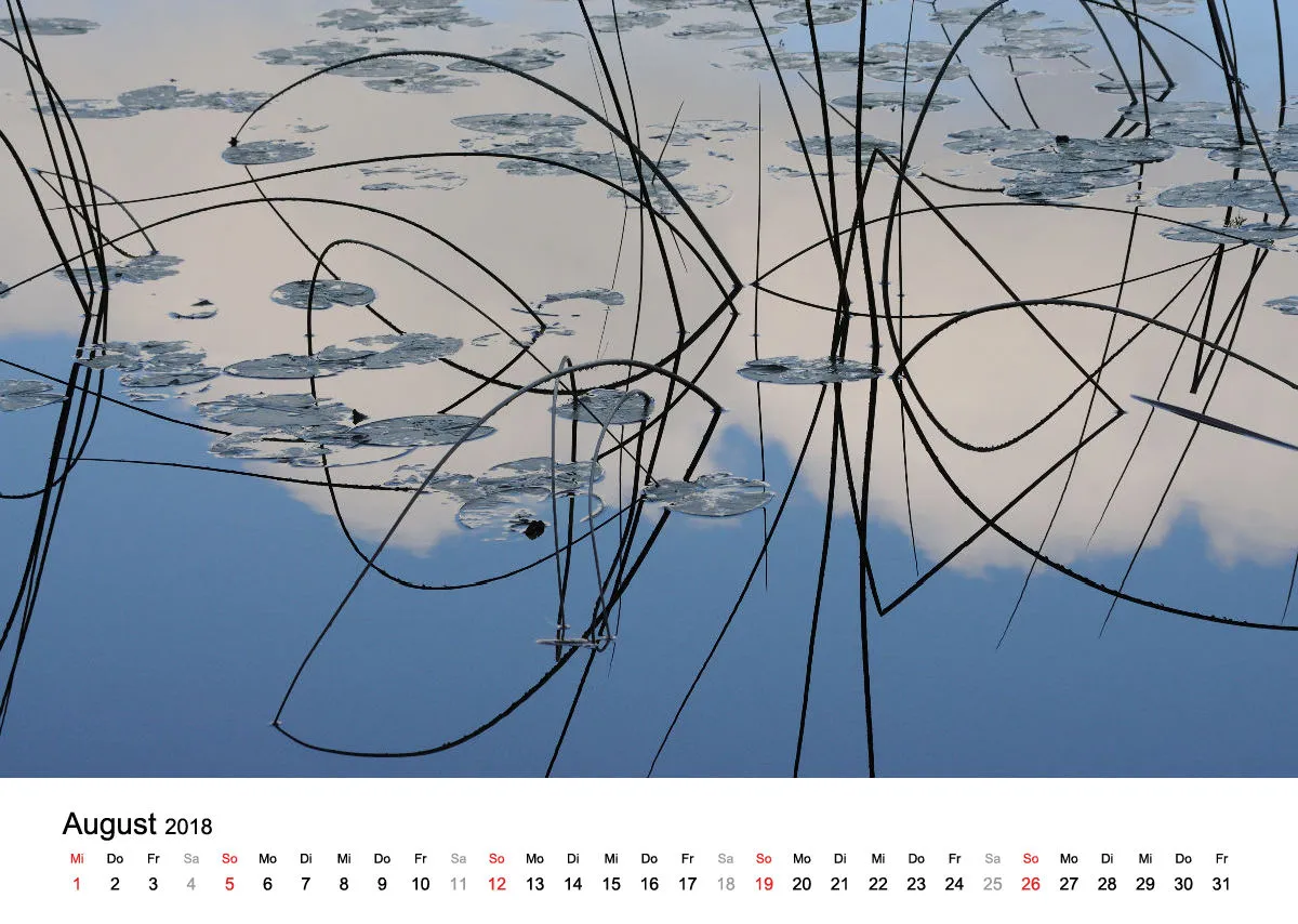 Fotokalender / Nr. 8