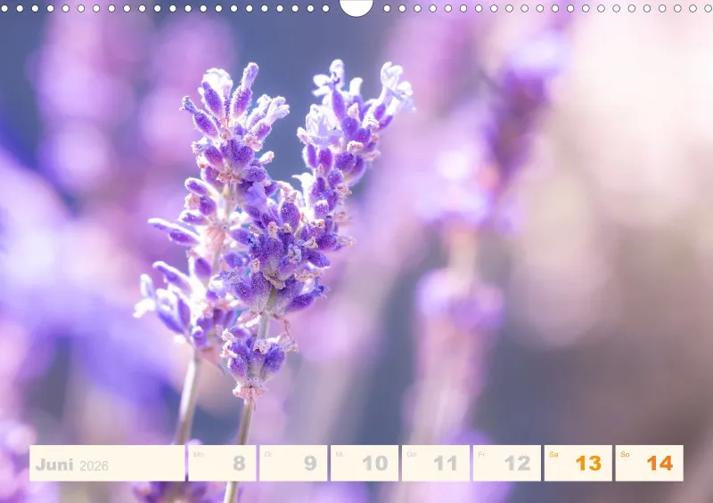 Allerlei 2026 Wochenkalender