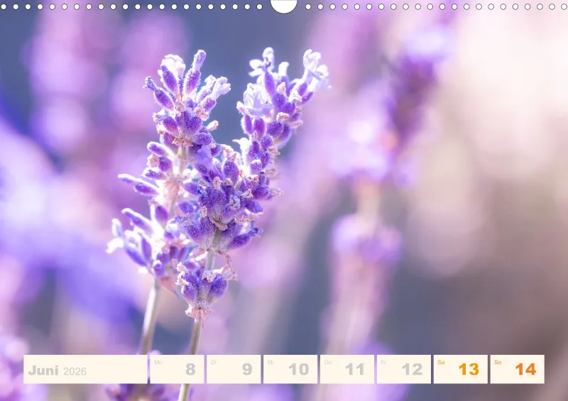 Allerlei 2026 Wochenkalender
