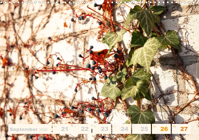 Allerlei 2026 Wochenkalender