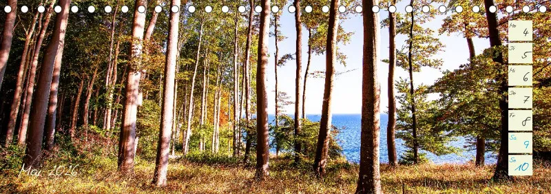 Tischkalender Rügen 2026