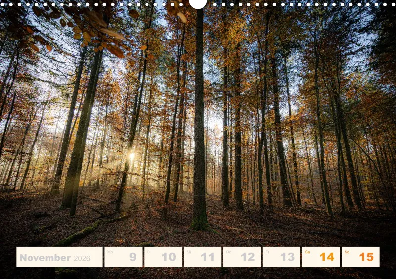 Allerlei 2026 Wochenkalender