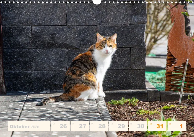 Allerlei 2026 Wochenkalender