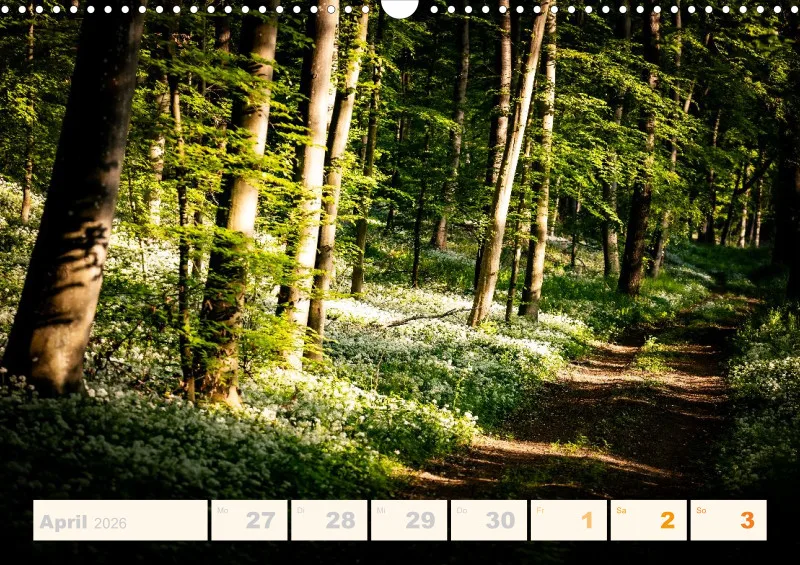 Allerlei 2026 Wochenkalender