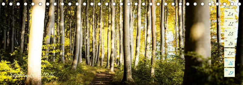 Tischkalender Rügen 2026