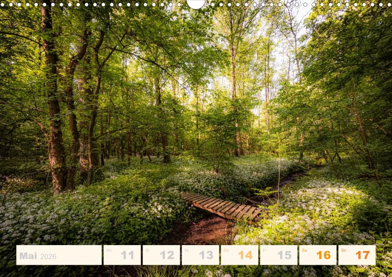 Allerlei 2026 Wochenkalender