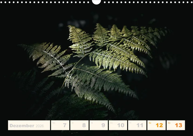 Allerlei 2026 Wochenkalender