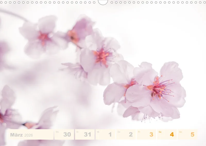 Allerlei 2026 Wochenkalender