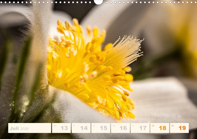 Allerlei 2026 Wochenkalender