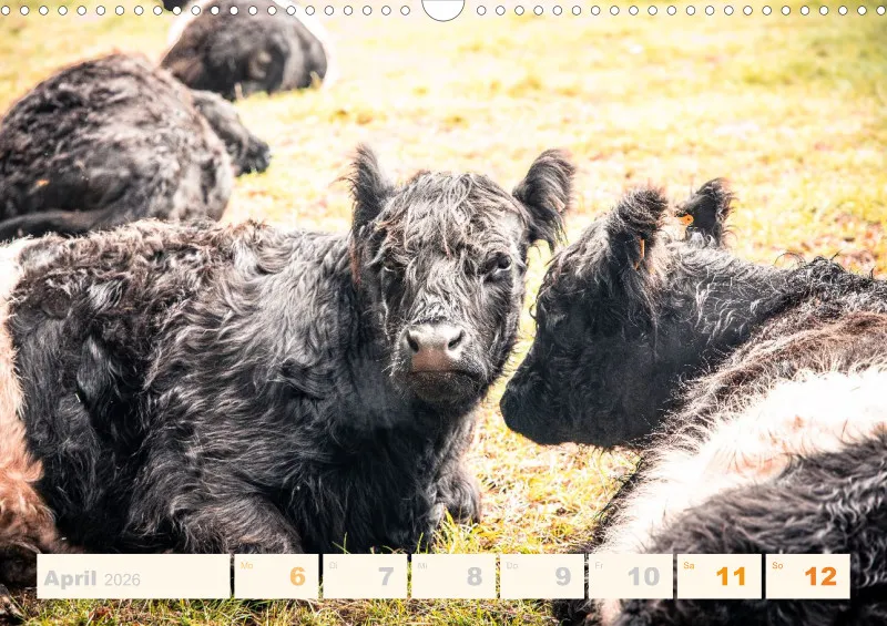 Allerlei 2026 Wochenkalender