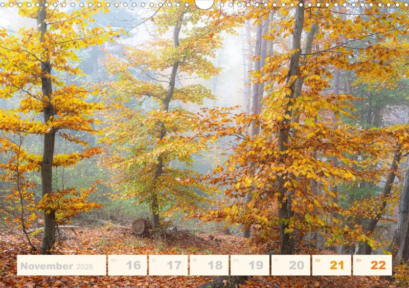 Allerlei 2026 Wochenkalender