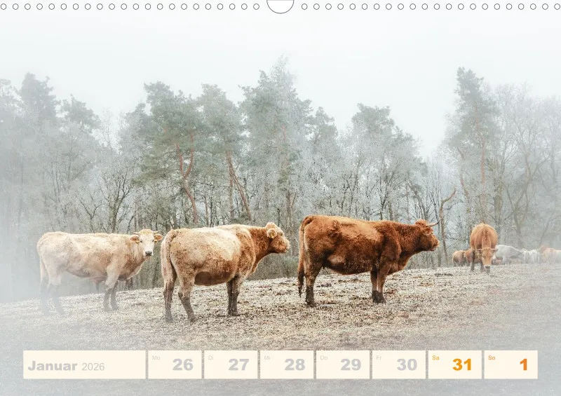 Allerlei 2026 Wochenkalender