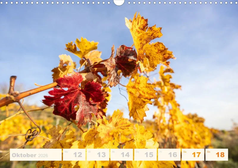 Allerlei 2026 Wochenkalender