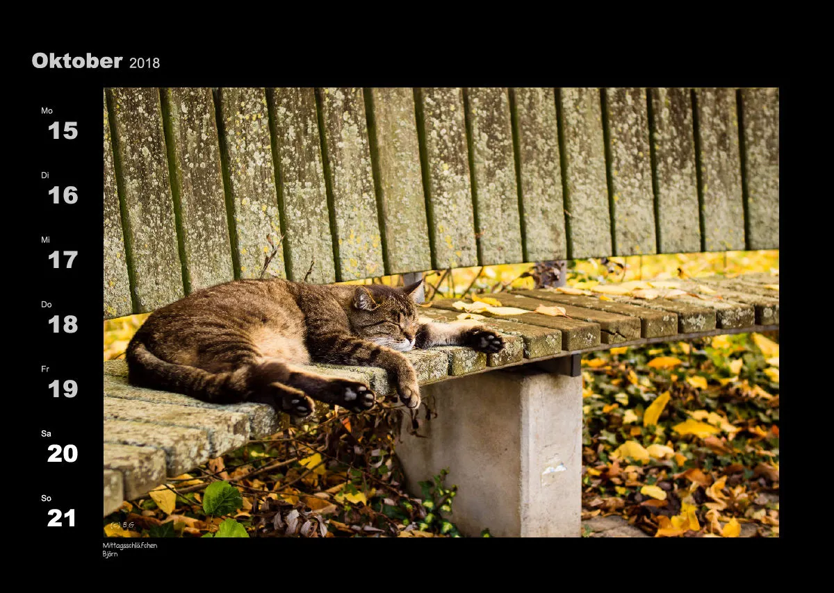 Lumixforum-Wochenkalender 2018