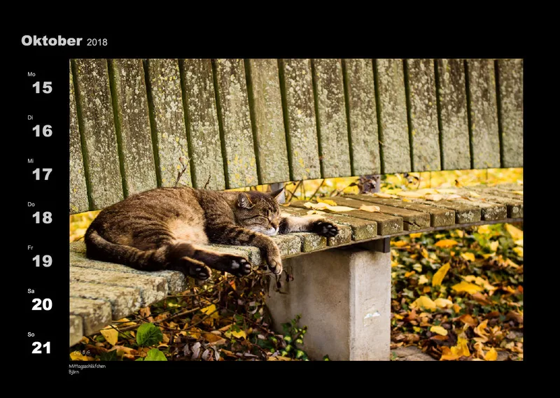 Lumixforum-Wochenkalender 2018