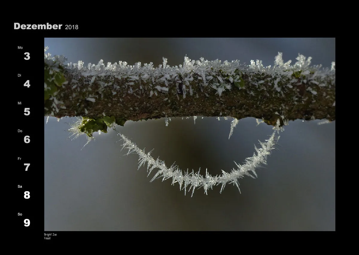 Lumixforum-Wochenkalender 2018