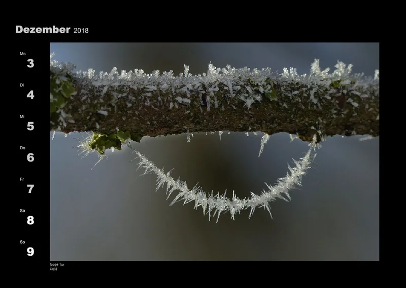 Lumixforum-Wochenkalender 2018