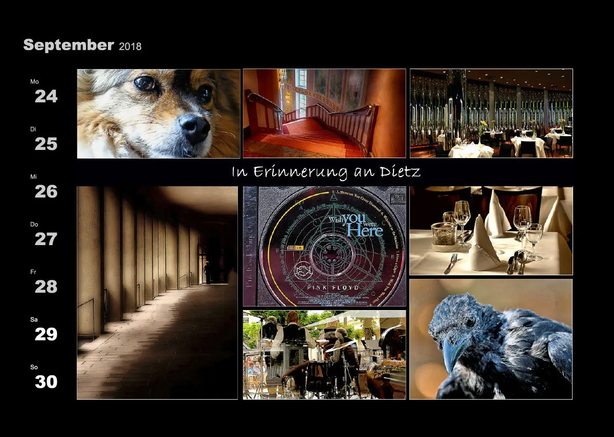 Lumixforum-Wochenkalender 2018
