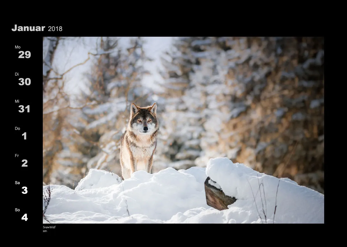 Lumixforum-Wochenkalender 2018