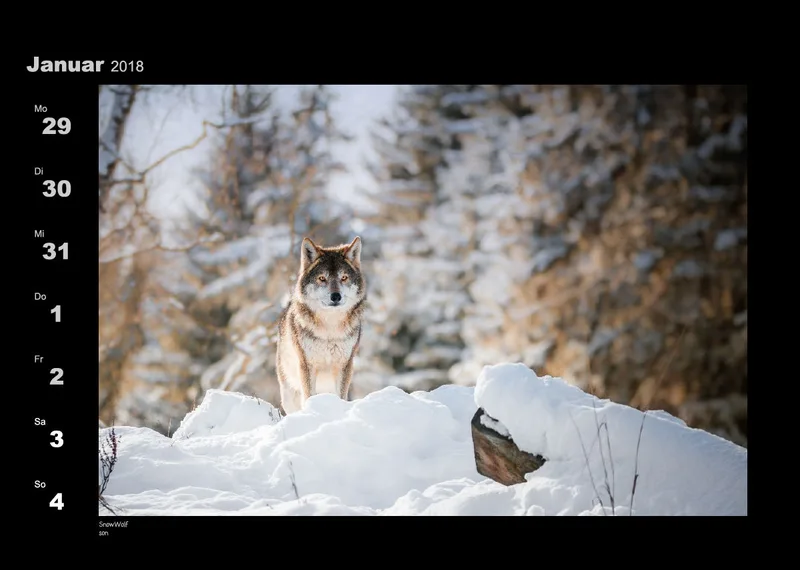 Lumixforum-Wochenkalender 2018