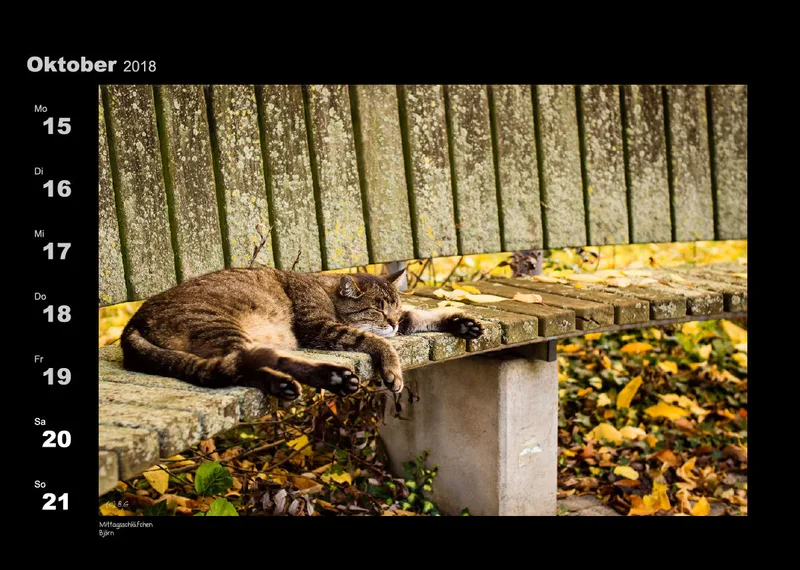 Lumixforum-Wochenkalender 2018