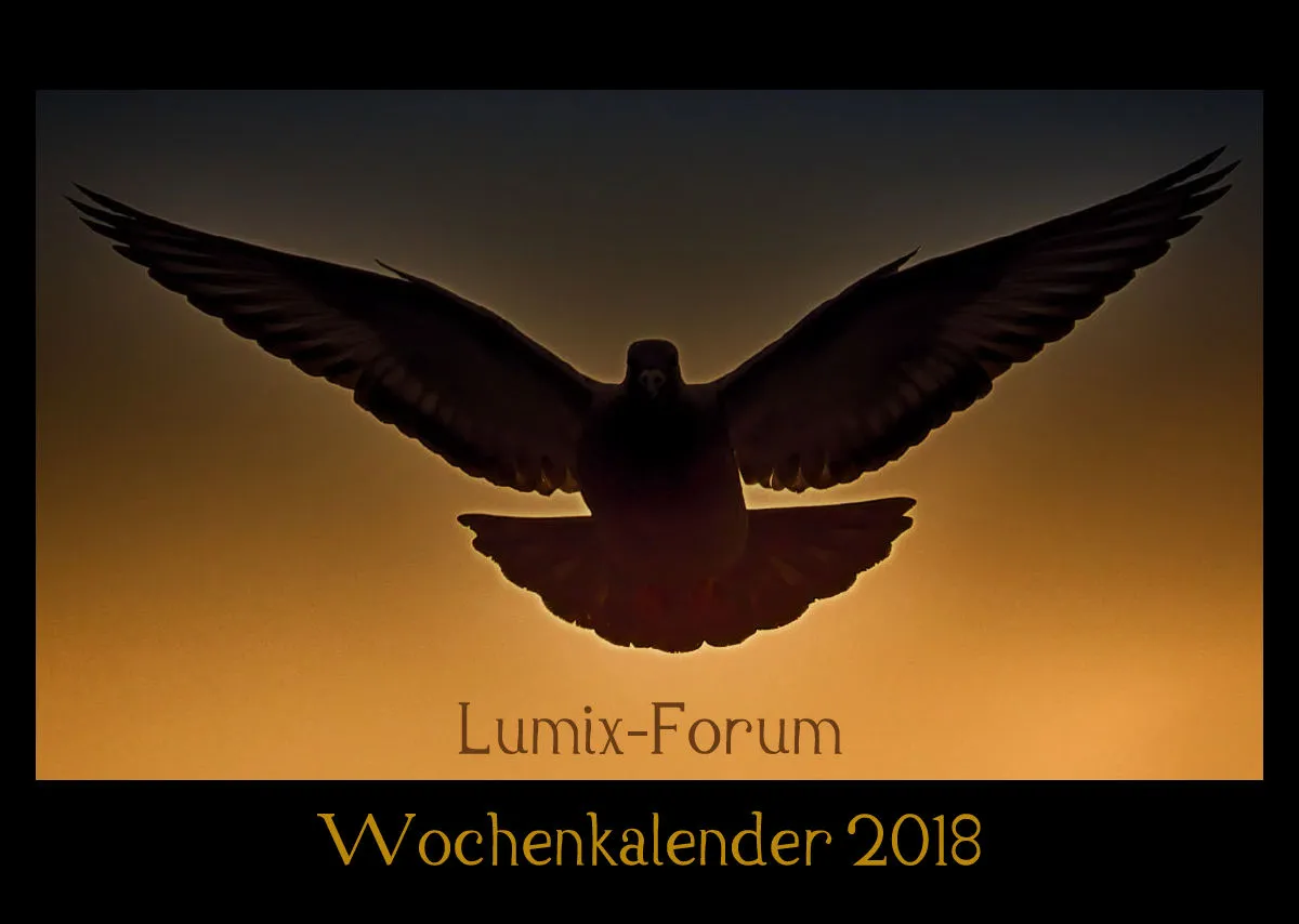 Lumixforum-Wochenkalender 2018