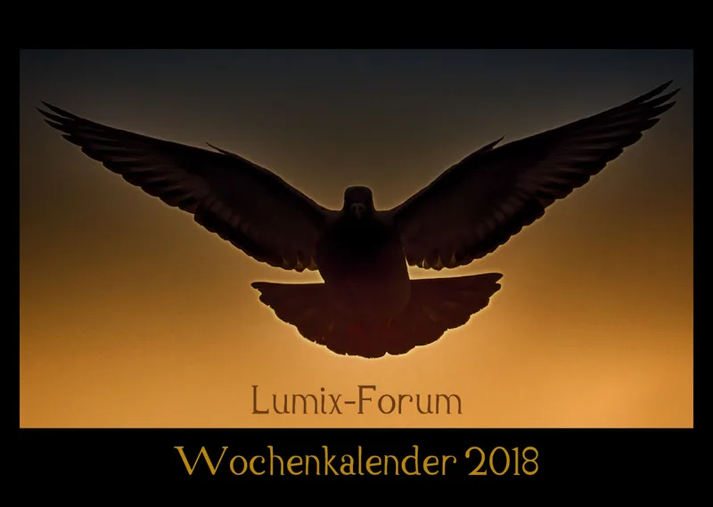Lumixforum-Wochenkalender 2018