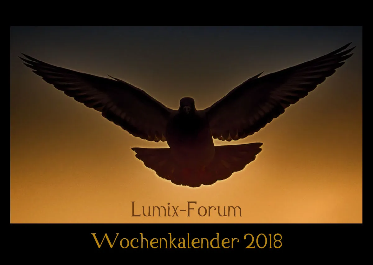 Lumixforum-Wochenkalender 2018