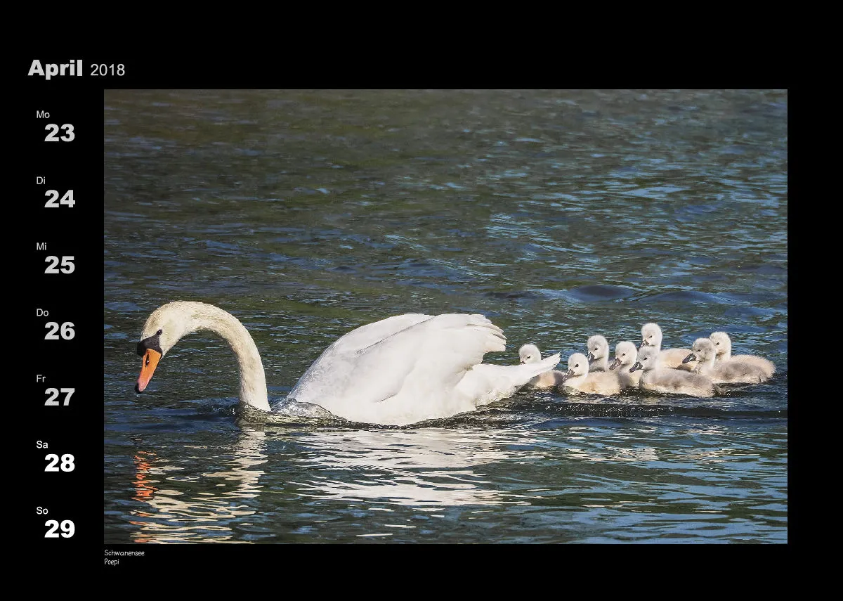 Lumixforum-Wochenkalender 2018