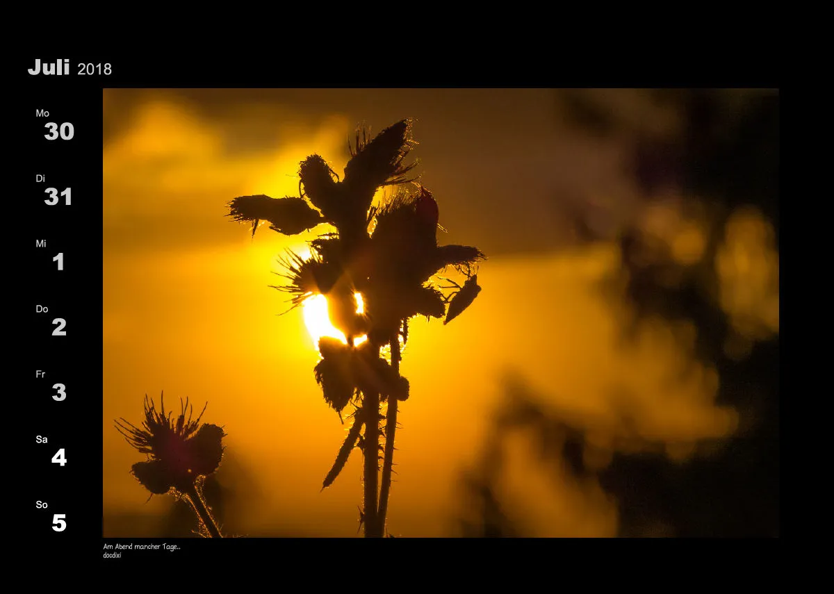 Lumixforum-Wochenkalender 2018