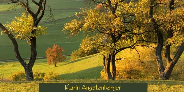 Karin Angstenberger