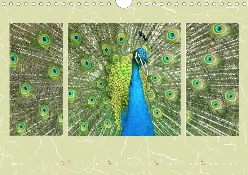 2017 Kalender A4 quer (grün)