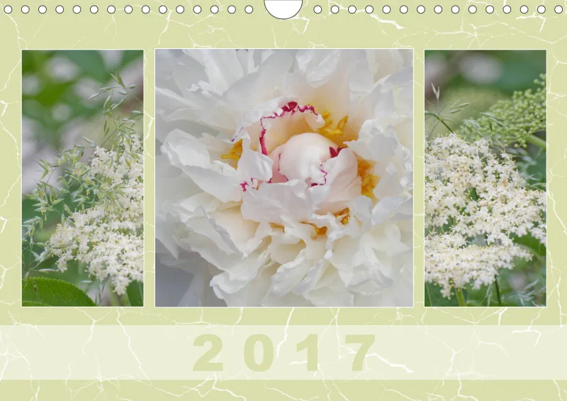 2017 Kalender A4 quer (grün)